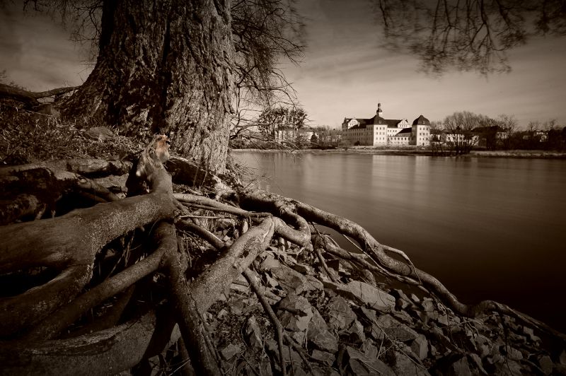 Workshop: Flusslandschaft Elbe