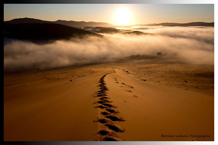 WORKSHOP - FOTOREISE mit Harald Kröher in NAMIBIA 14. - 28 August 2016