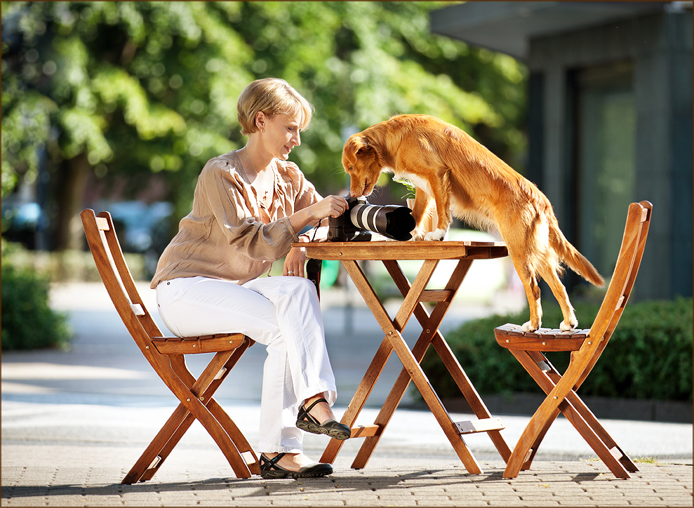 Workshop Hundefotografie