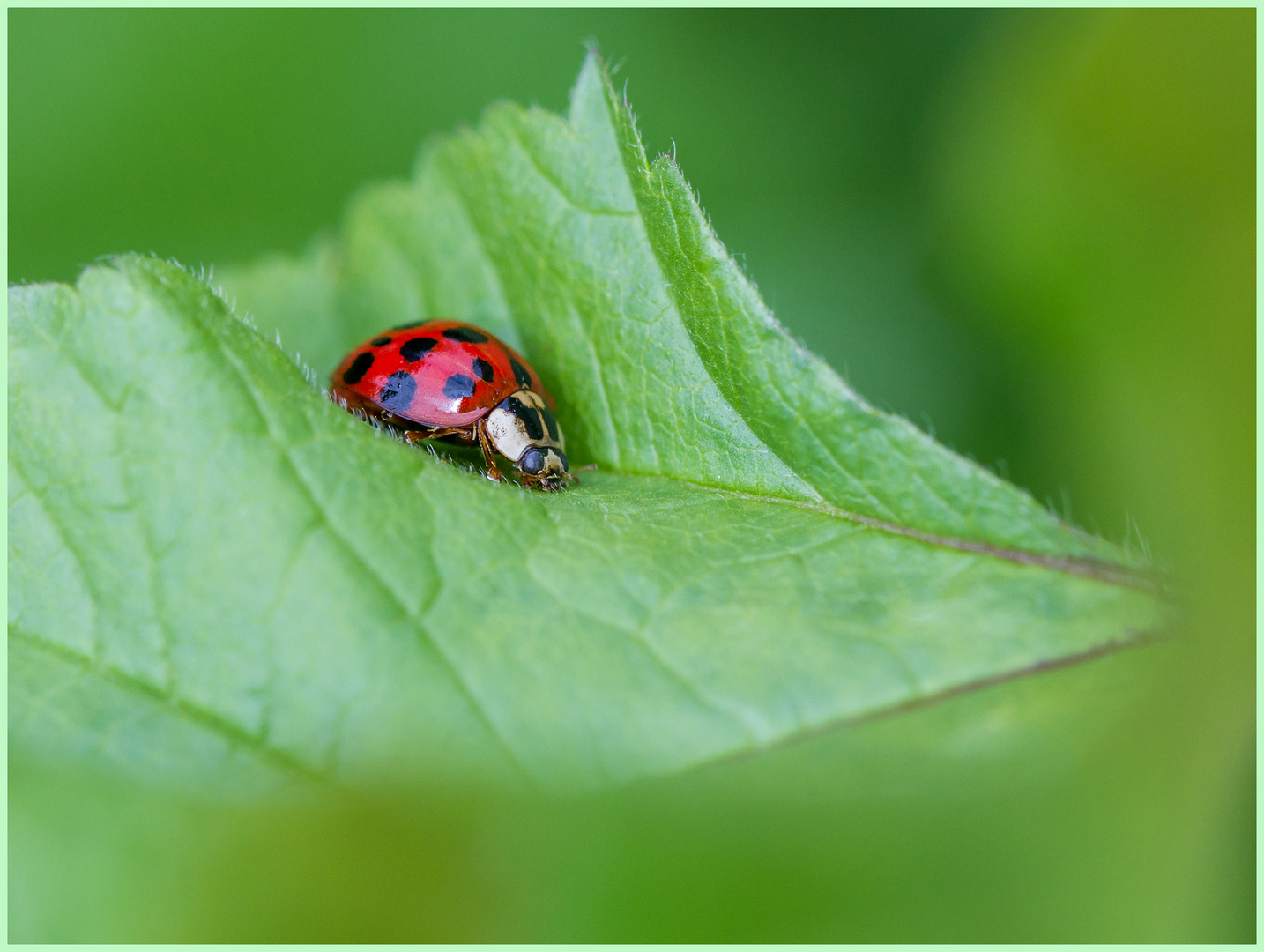 Workshop im "Botanischen Garten" in Braunschweig (6)