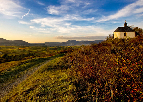 WORKSHOP - Landschaftsfotografie: ABENTEUER IM WASGAU am 11.06.2016 mit Harald Kröher