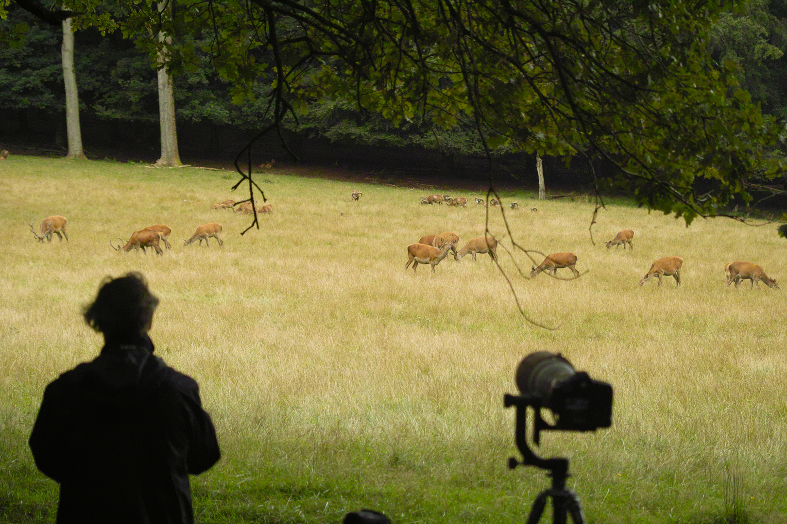 Workshop Naturfotografie