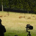 Workshop Naturfotografie