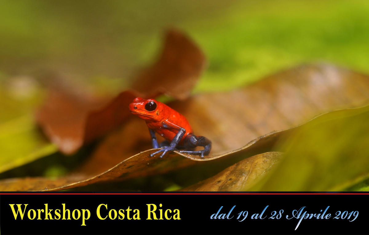 workshopfotografico Costa Rica