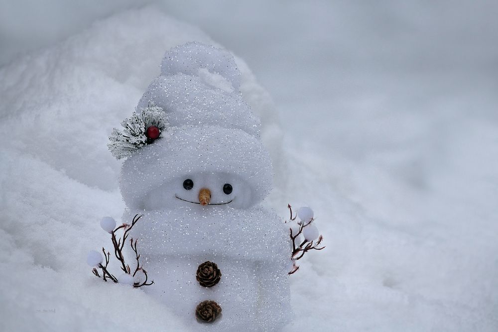 World Day of Snowman