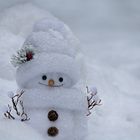 World Day of Snowman