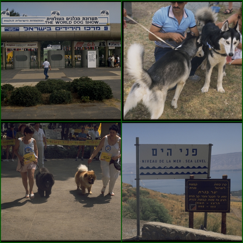  World Dog Show in Israel