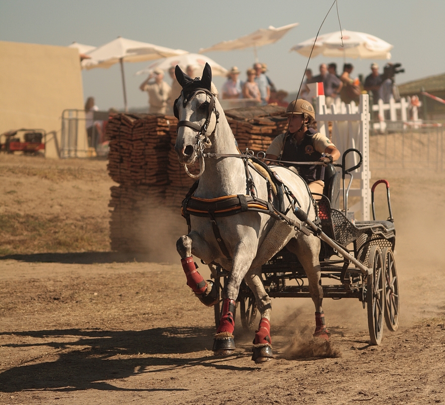 World Driving Singles Championships 2012