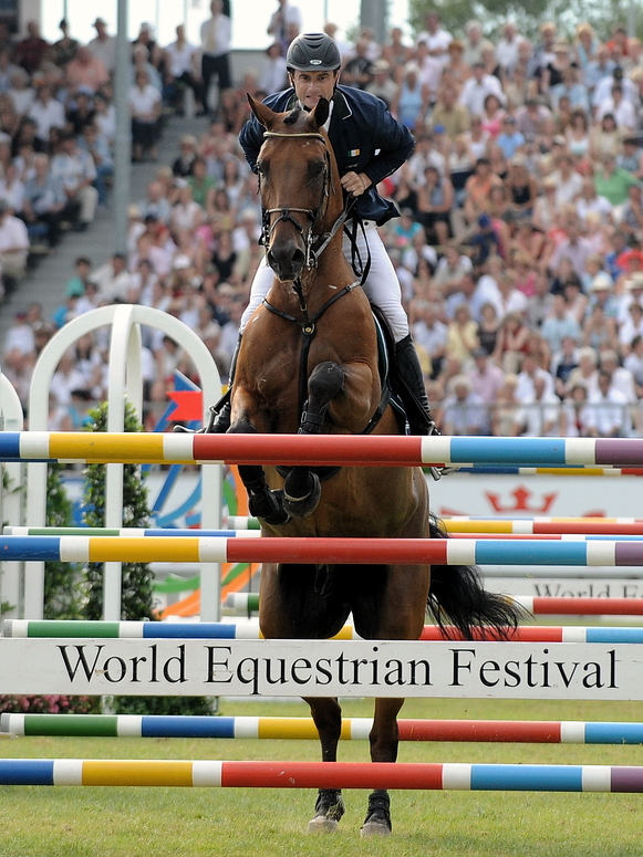 World Equestrian Festival