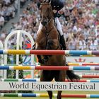 World Equestrian Festival