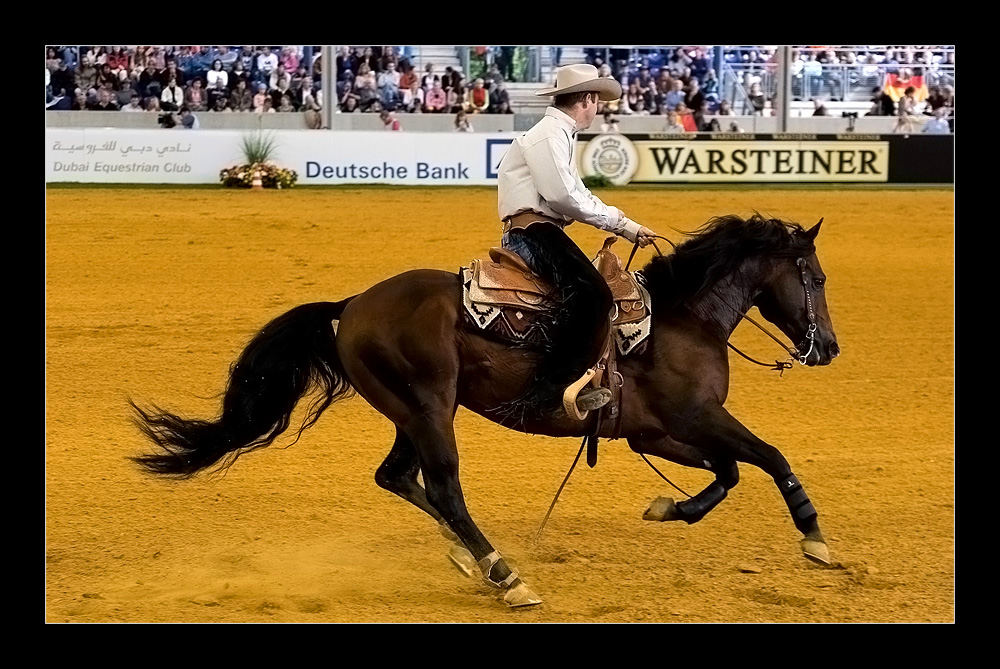 World Equestrian Games Aachen 2006 Reining ( I )