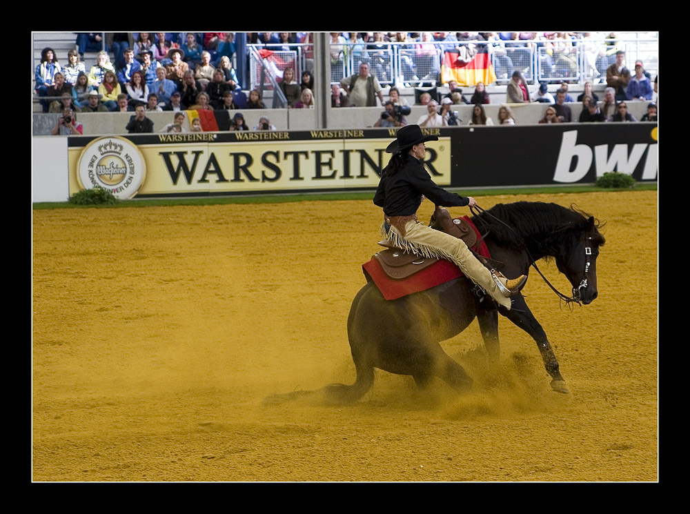 World Equestrian Games Aachen 2006 Reining ( IIII )