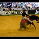 World Equestrian Games Aachen 2006 Reining ( IIII )