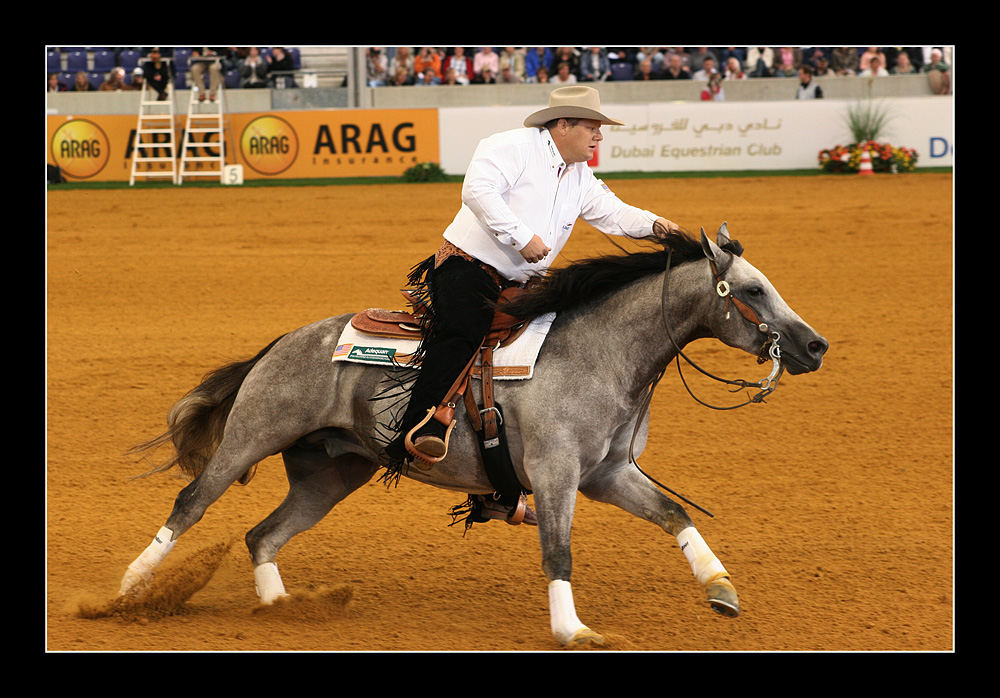 World Equestrian Games Aachen 2006 Reining ( IV )