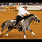 World Equestrian Games Aachen 2006 Reining ( IV )