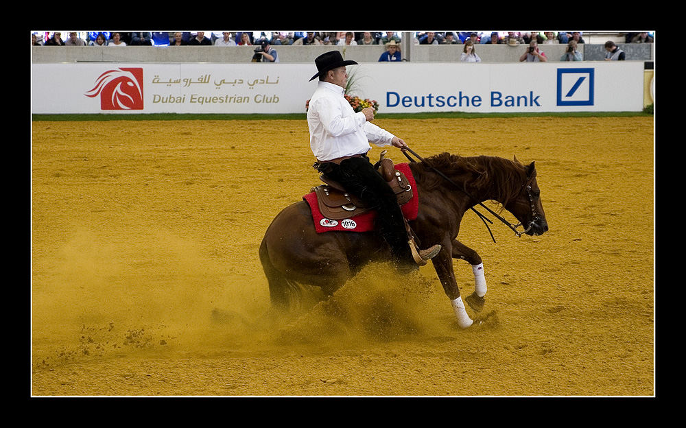 World Equestrian Games Aachen 2006 Reining ( V )