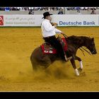 World Equestrian Games Aachen 2006 Reining ( V )