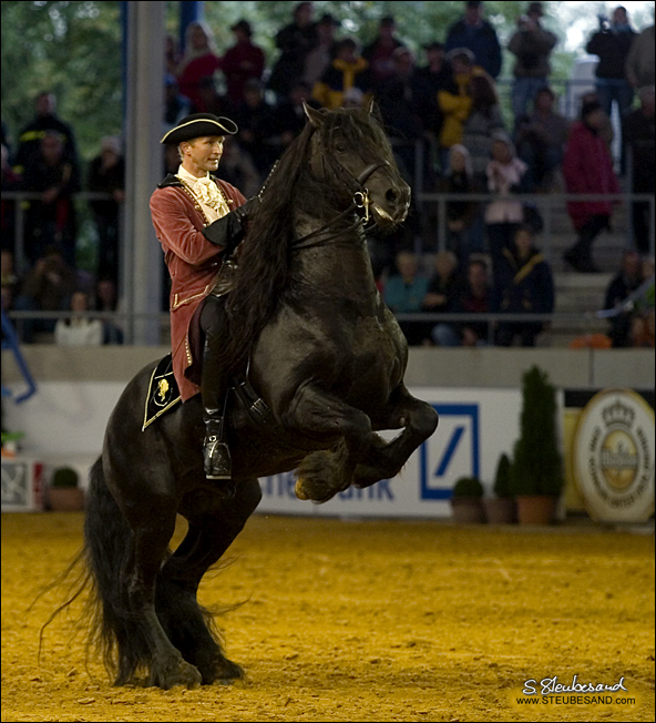 World Equestrian Games Aachen (Hengstparade)