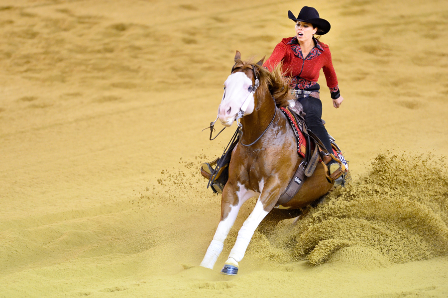 World Equestrian Games Normandie 2014 I