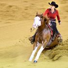 World Equestrian Games Normandie 2014 I