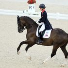 World Equestrian Games Normandie 2014 III