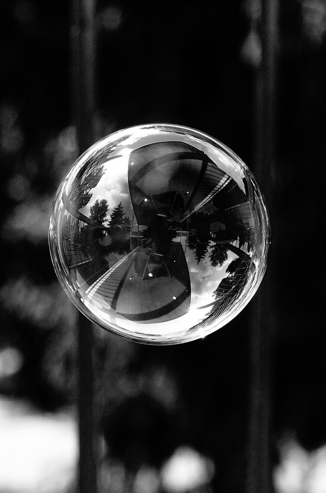 world in a bubble