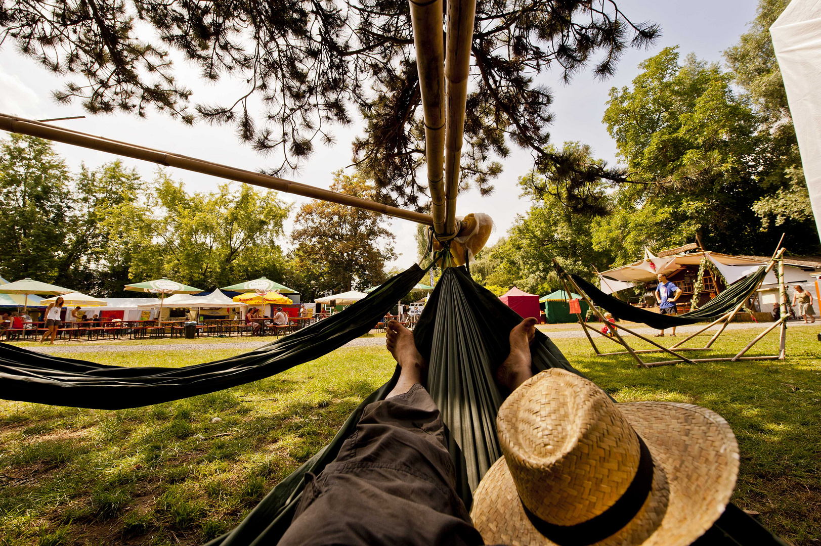 world music festival.............das Leben ist schön