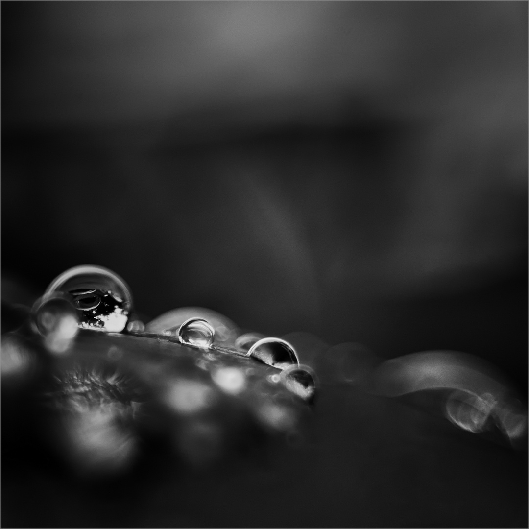 World Of Droplets