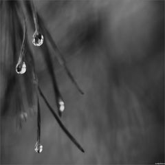 World Of Droplets