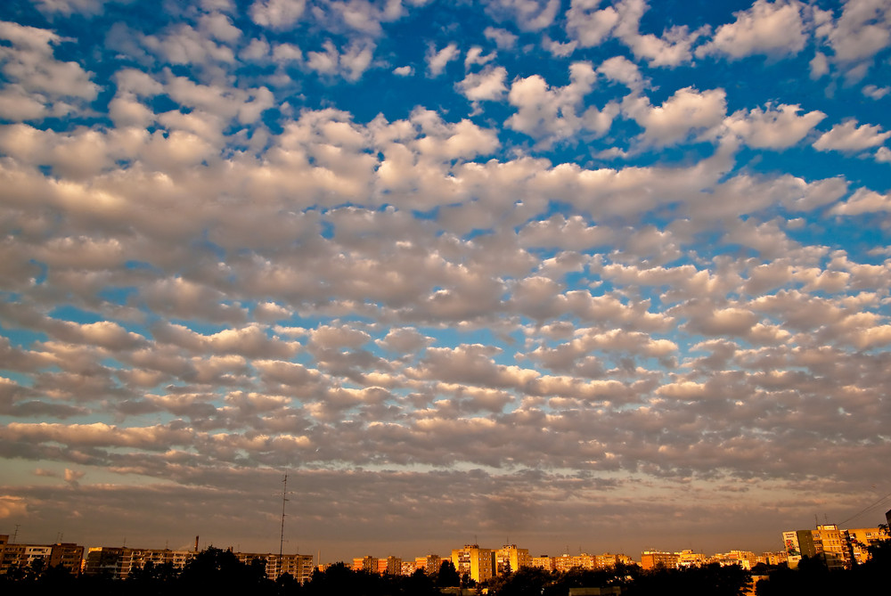 world outside my window