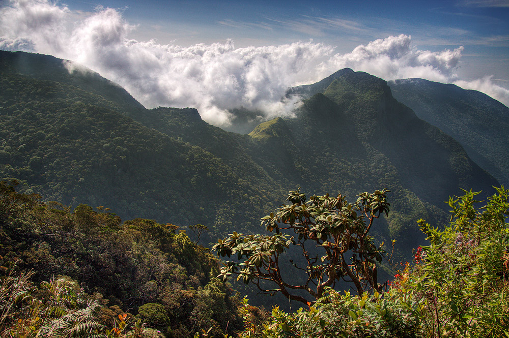 Worlds End, Nationalpark Horton Plains