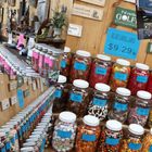 World's Longest Candy Counter in Littleton, New Hampshire