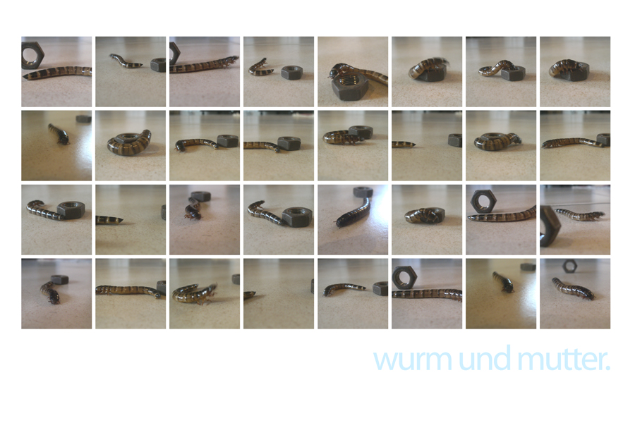 worms and their meanings 1 Foto & Bild sonstiges, wortbilder, würmer