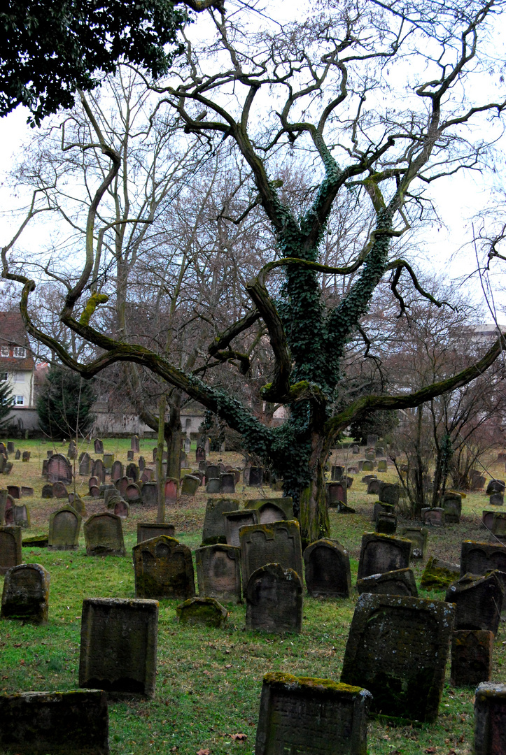 Worms - der jüdische Friedhof