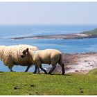 Worm's Head