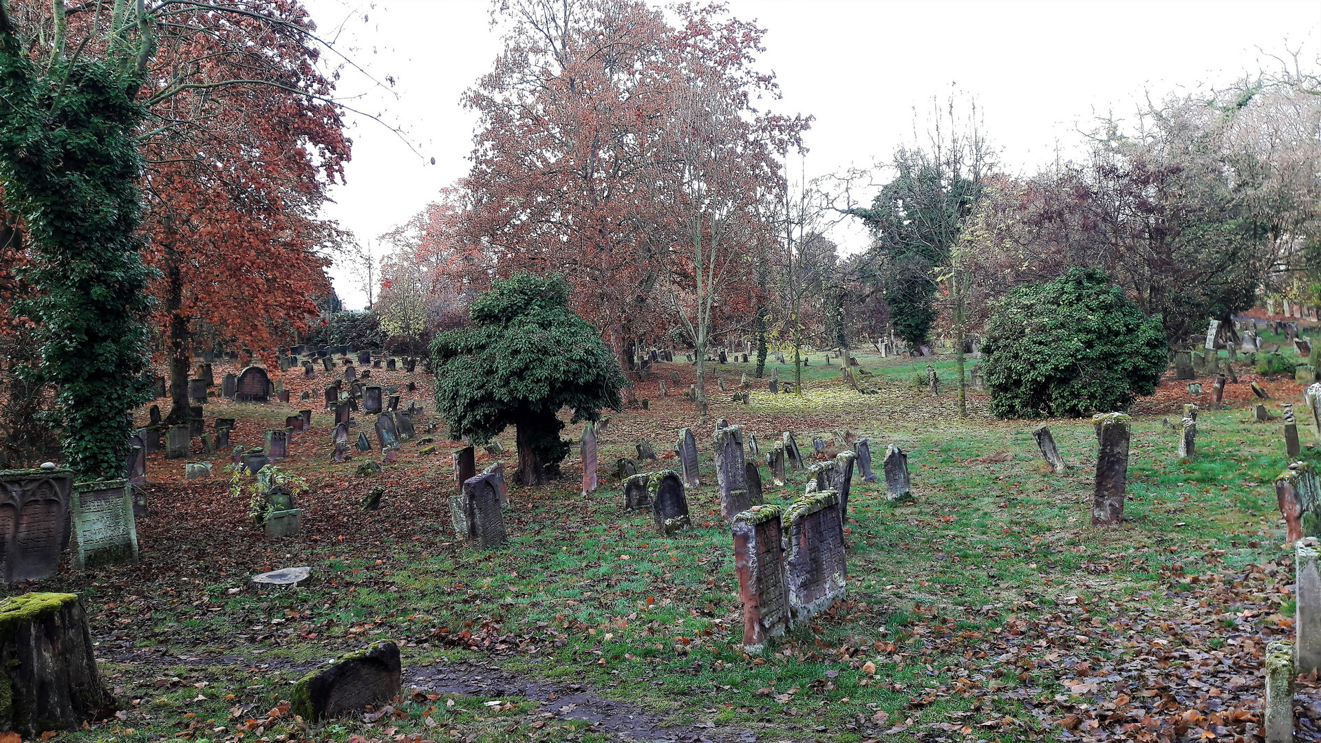 Worms : Jüdischer Friedhof