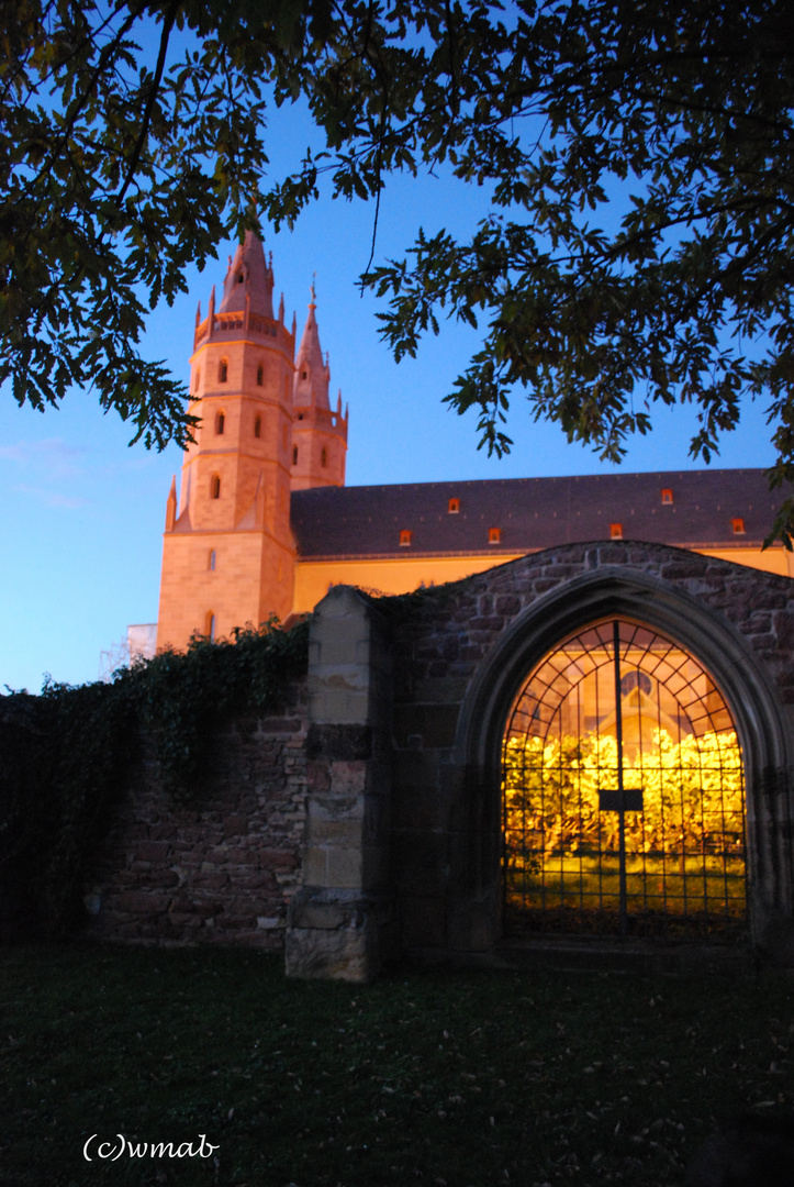 Wormser Liebfrauenkirche im Weinberg