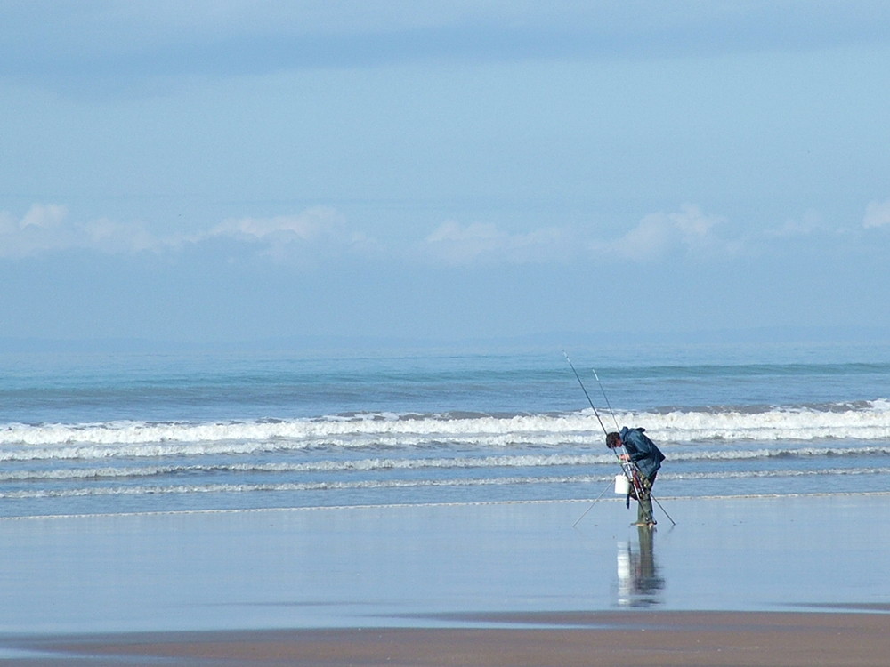 wormshead gower uk