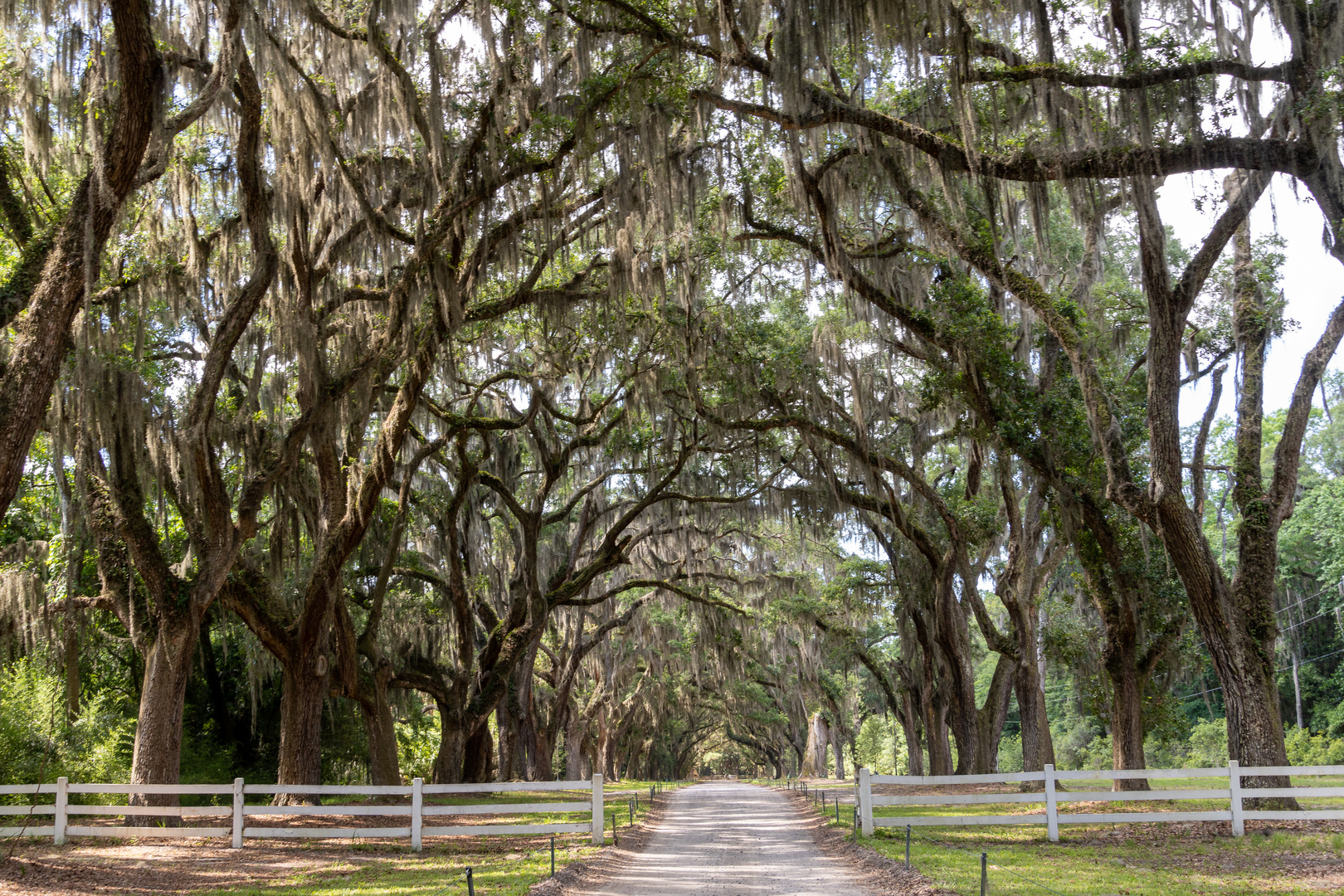 Wormsloe Historic Site