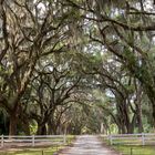 Wormsloe Historic Site