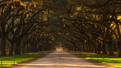 Wormsloe Plantation