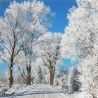 Worpswede - Hammeweg im Winterschmuck