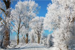 Worpswede - Hammeweg im Winterschmuck