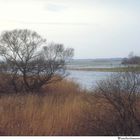 Worpswede - Winterhochwasser an der Hamme