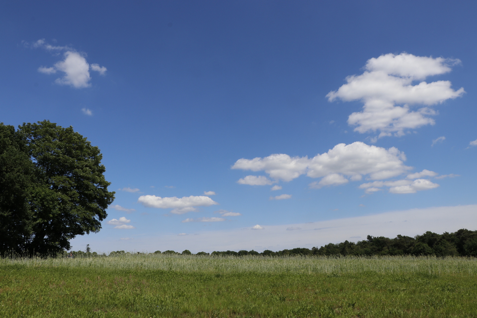 Worpswede Wolkenspiel