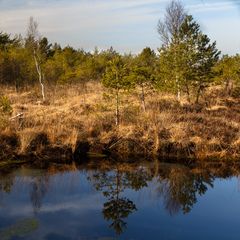 Worpsweder Moor