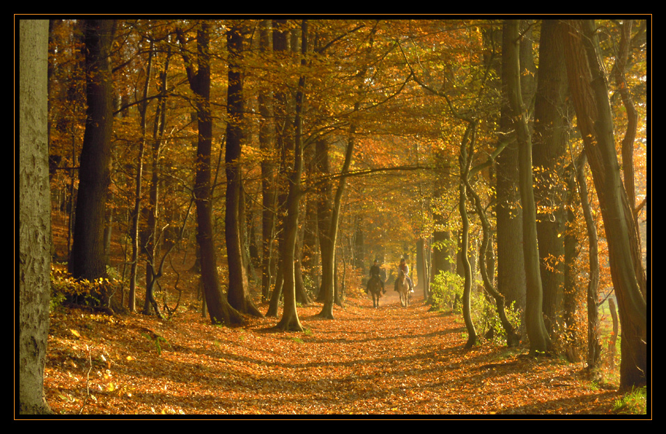 *Worpsweder Novembersamstag*