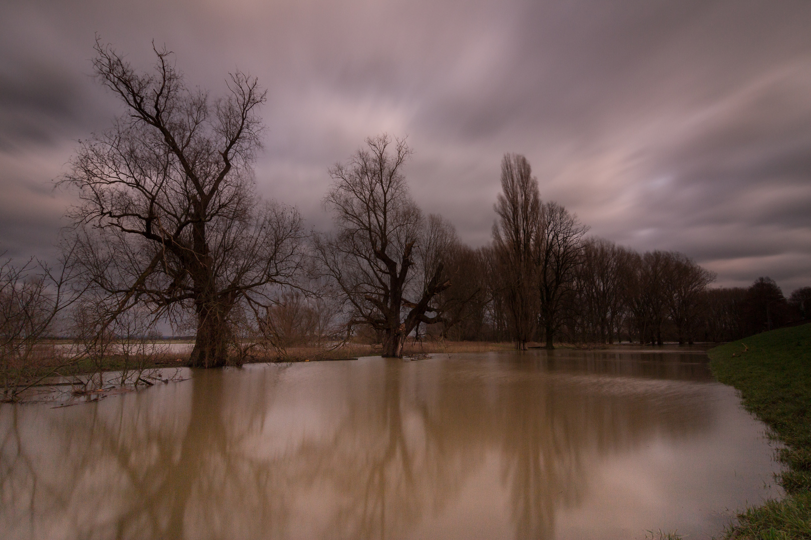 Worringen_Rheinauen_Überschwemmung_28-01-2018_-4730