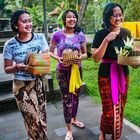 Worshippers bring their offerings