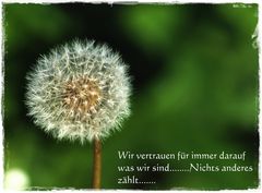 .......Worte..........